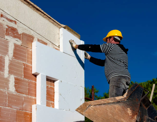Best Insulation Inspection Services  in Donna, TX