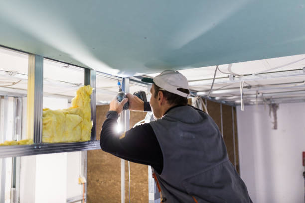 Best Attic Insulation Installation  in Donna, TX
