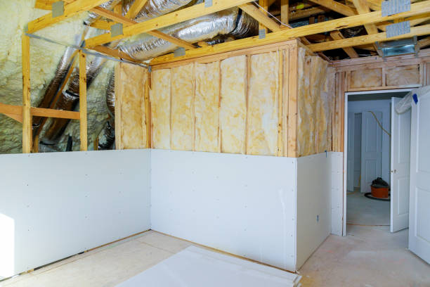Best Spray Foam Insulation  in Donna, TX