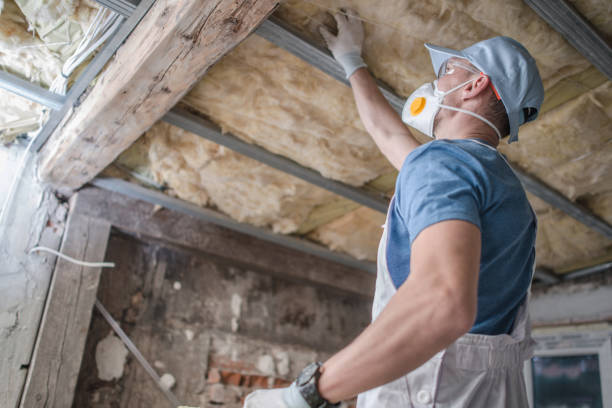 Best Best Insulation Companies  in Donna, TX