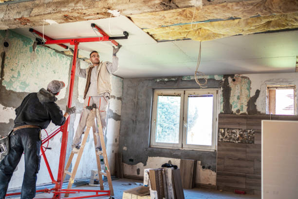 Best Cellulose Insulation  in Donna, TX