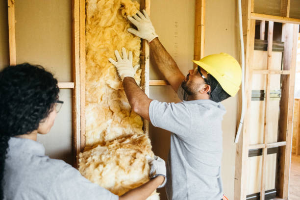 Best Insulation Removal  in Donna, TX