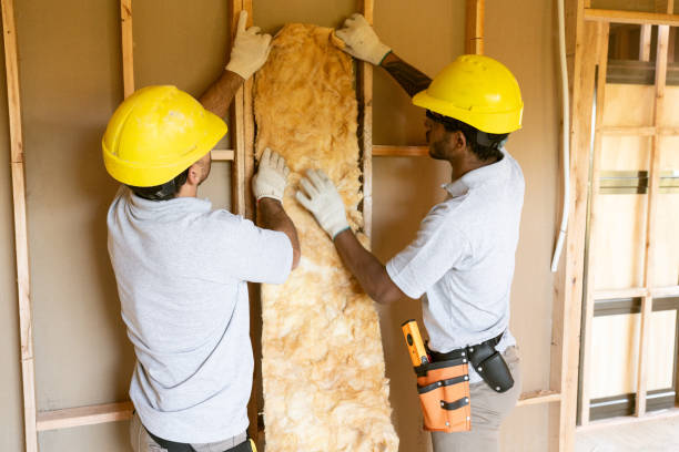 Insulation Inspection Services in Donna, TX