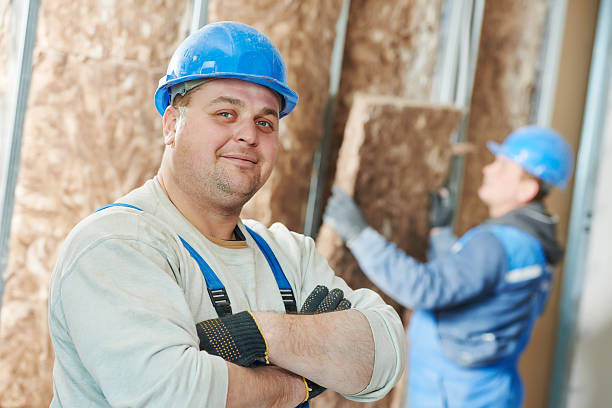 Best Insulation Contractors for Homes  in Donna, TX